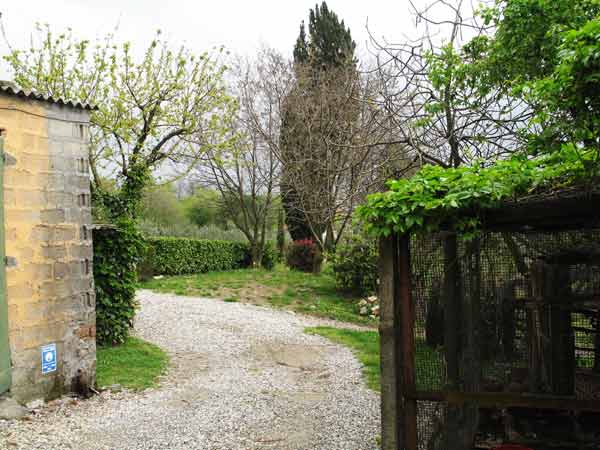 FarmLane-042505-1247p