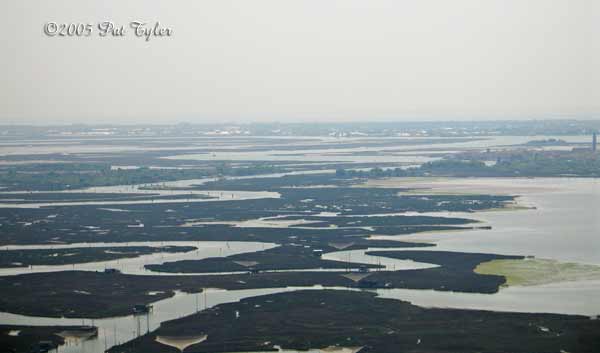 Marsh From Plane - 050205-1149a